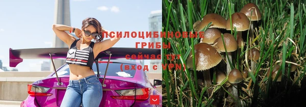 шишки Алзамай