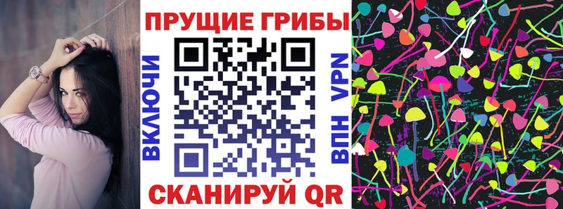 KRAKEN зеркало  купить наркотики сайты  Бакал  Галлюциногенные грибы Psilocybine cubensis 