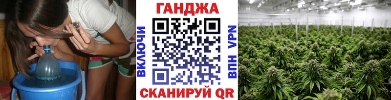 Бошки марихуана VHQ Бакал